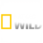 Nat Geo Wild